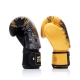 FAIRTEX BFBGV26 LIMITED EDITION “HARMONY SIX” TRAININGSHANDSCHOENEN