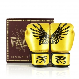 FAIRTEX trainingshandschoenen van topkwaliteit leer "FALCON"