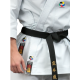 KARATEGI "PRO BUNKAI"