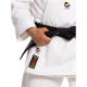 KARATEGI "BUNKAI EUROPE"