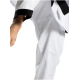 TRADITIONEEL HAPKIDO-UNIFORM